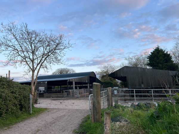 Farm Painting in Kernanstown