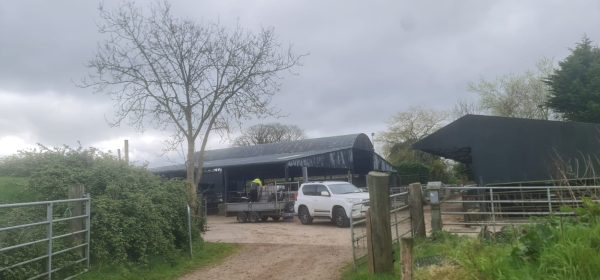 Farm Painting in New Ross